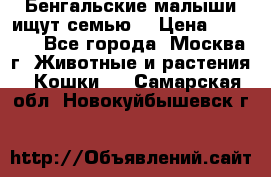 Бенгальские малыши ищут семью) › Цена ­ 5 500 - Все города, Москва г. Животные и растения » Кошки   . Самарская обл.,Новокуйбышевск г.